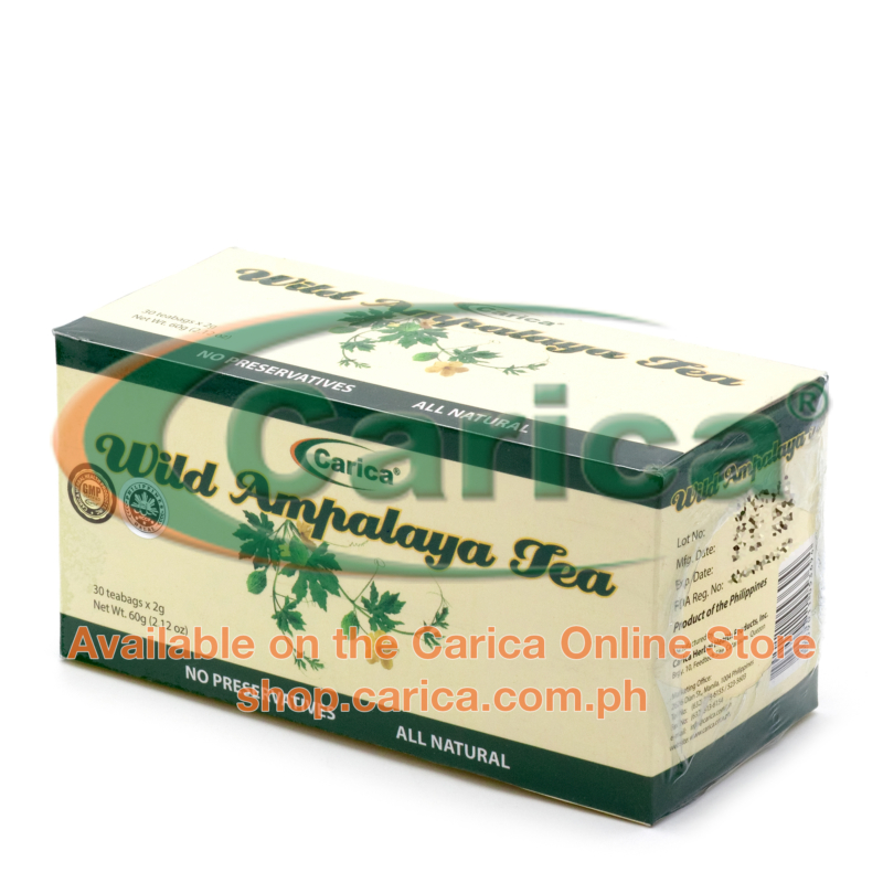 Wild Ampalaya Tea (Bitter Gourd / Bitter Melon Momordica charantia